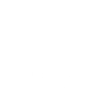 Bodhi Align logo